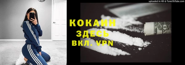 2c-b Богородицк