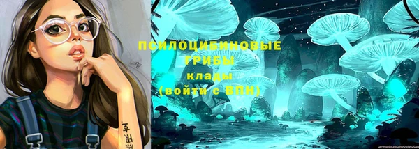 2c-b Богородицк