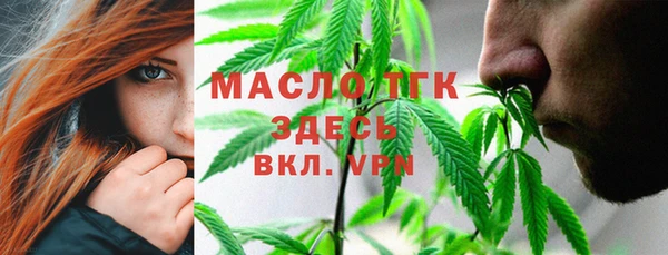 2c-b Богородицк
